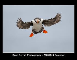 Dean Cerrati Photography - 2026 Bird Calendar