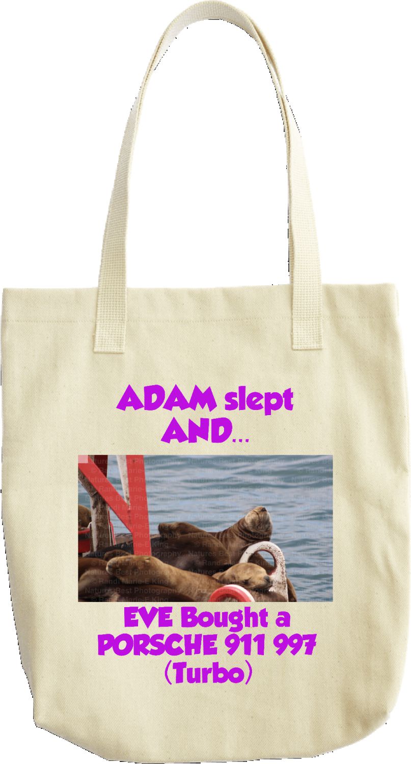 The Porsche 911 Tote