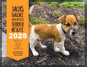 2025 Jacks Galore Fundraiser Calendar