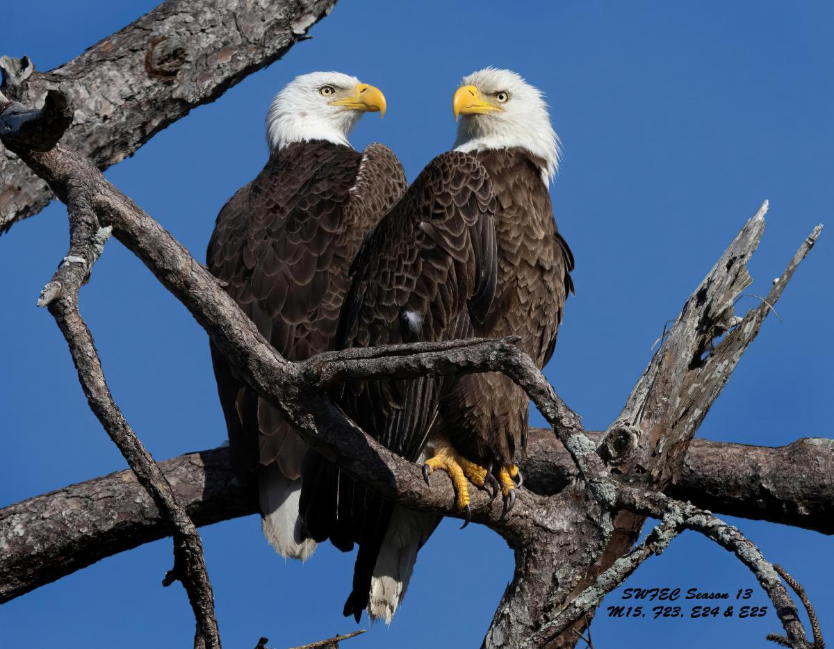 SWFEC SEASON 13, M15, F23, E24, E25