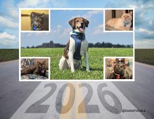 Dexter, Fi, and Liz 2026 Calendar