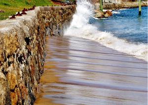 Indpendence Park Beach Poster