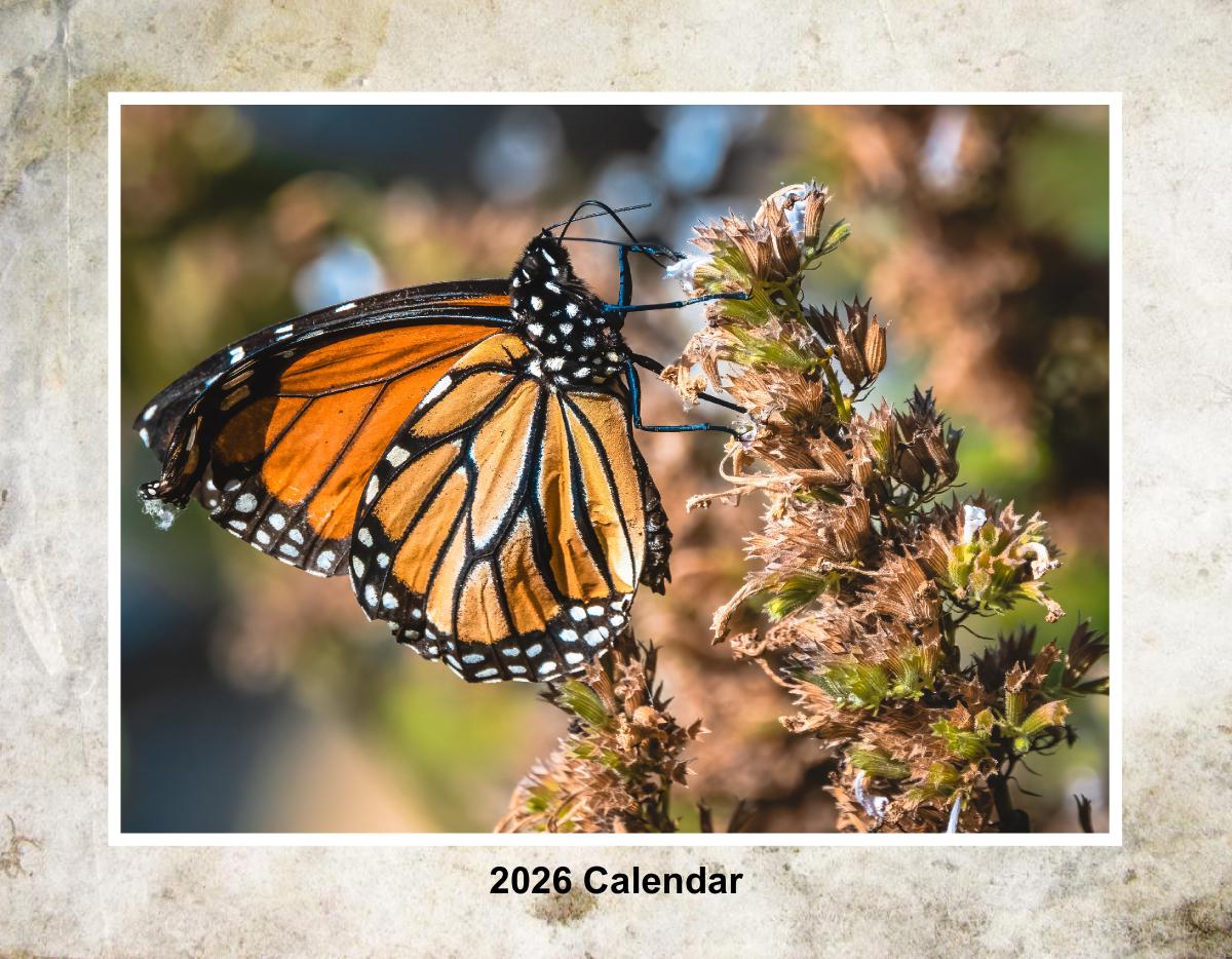 2026 Animal Calendar