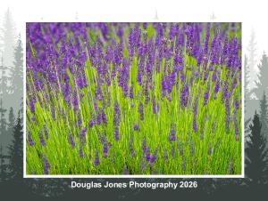 Douglas Jones Photography 2026