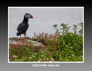 2026 Puffin Calendar