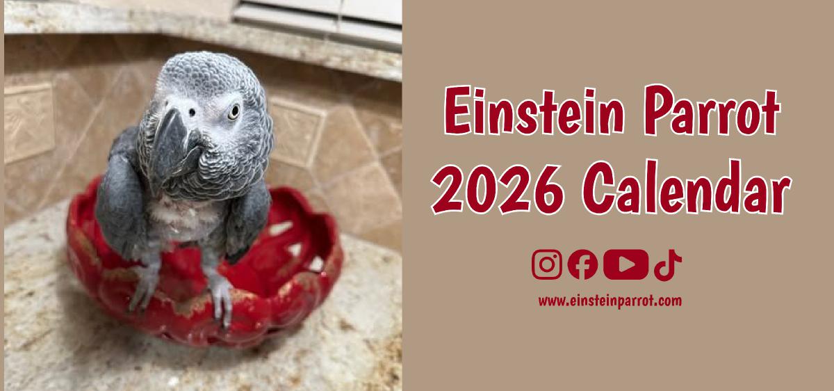 Einstein Parrot 2026 Desk Calendar