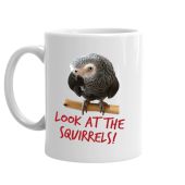 Look At The Squirrels!