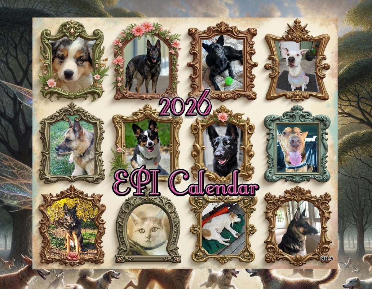 2026 Revised EPI Cal #3