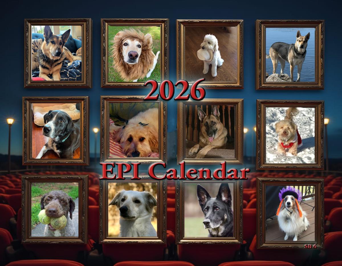 2026 Revised EPI Cal #6