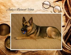 2026 Revised EPI Cal #7