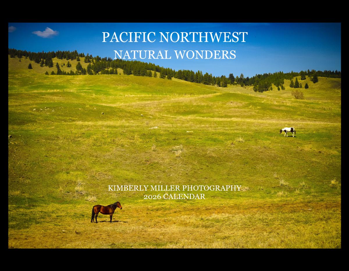 2026 Calendar #2 Collection