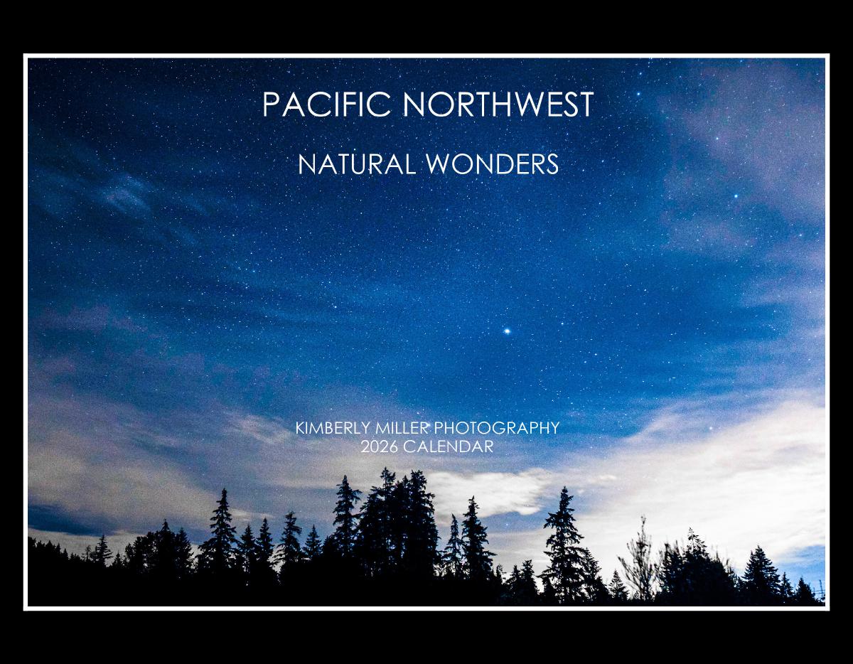 2026 Calendar #1 Collection