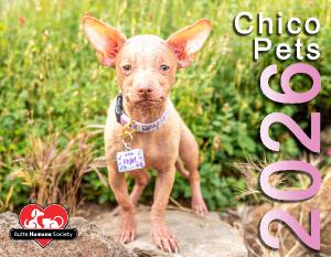 2026 Chico Pets Calendar