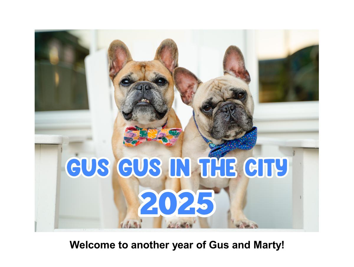 Gus Gus In The City 2025