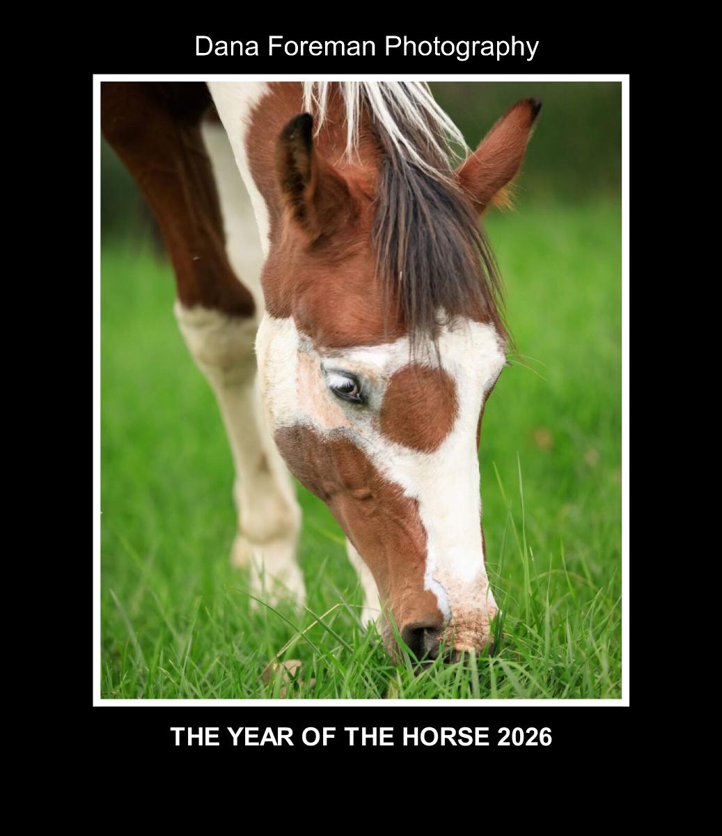 Year of the Horse 18 Month