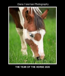 Year of the Horse 18 Month