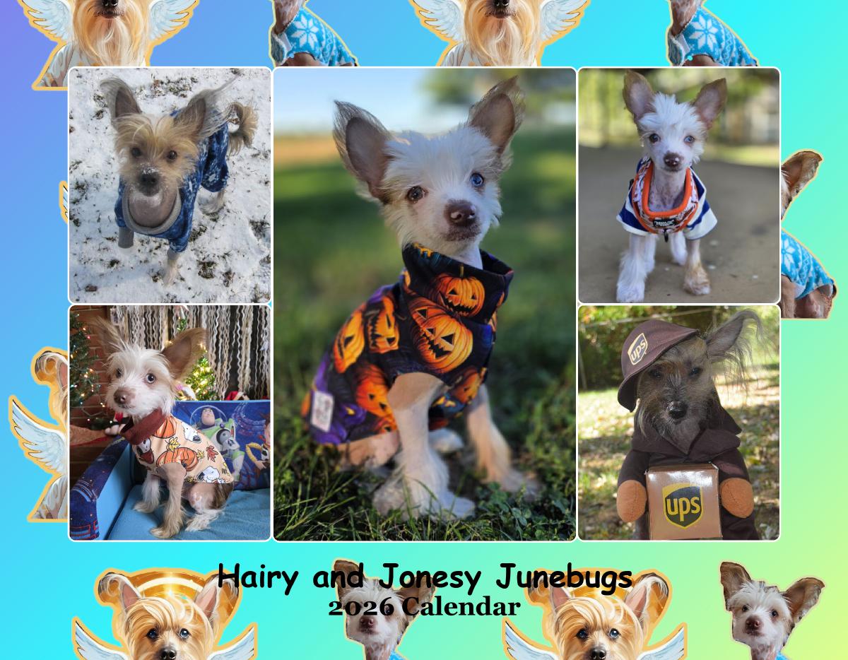 Hairy & Jonesy Junebugs 2026 Calendar