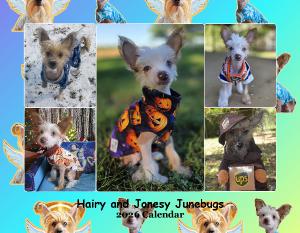 Hairy & Jonesy Junebugs 2026 Calendar