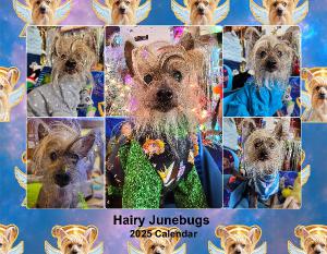 Hairy Junebugs 2025 Calendar