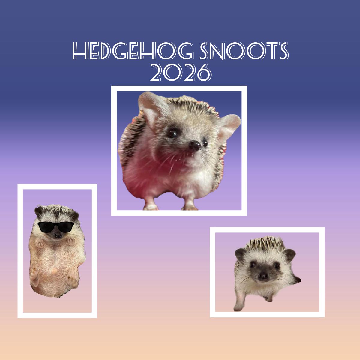 Hedgehog Snoots Calendar 2026