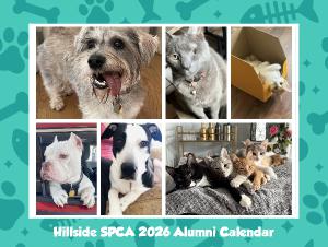 Hillside SPCA 2026 Wall Calendar