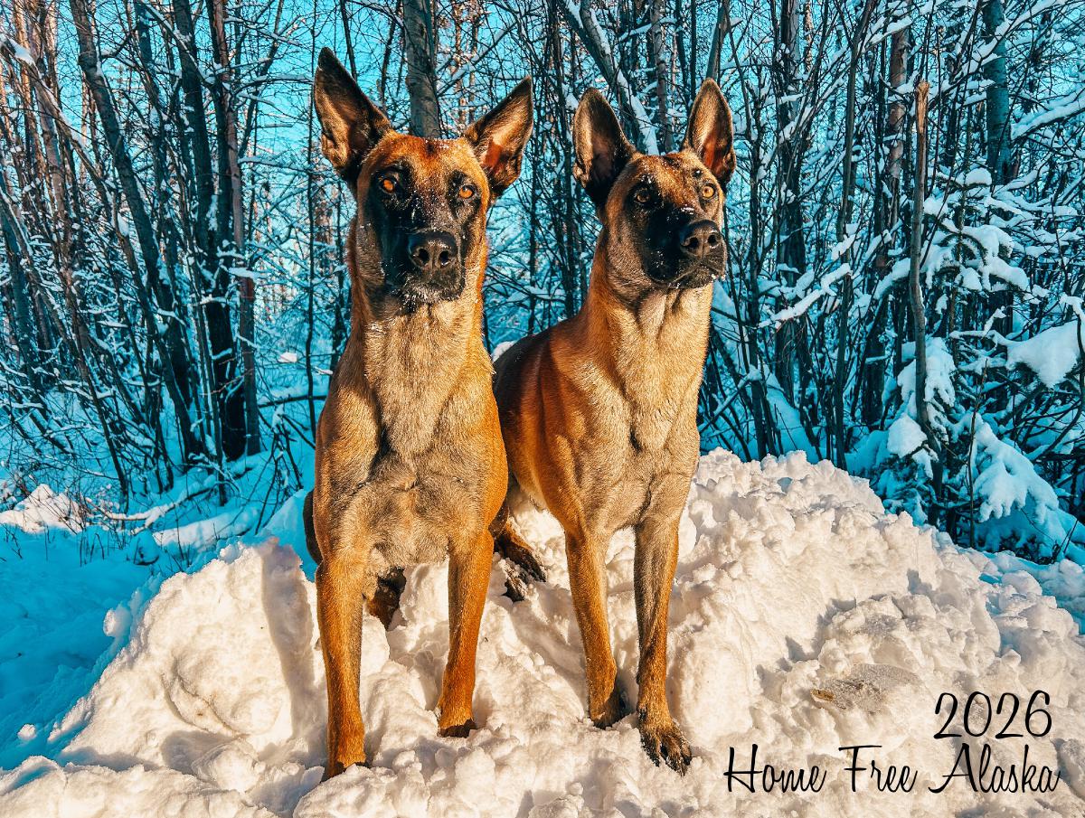 2026 Home Free Alaska Calendar