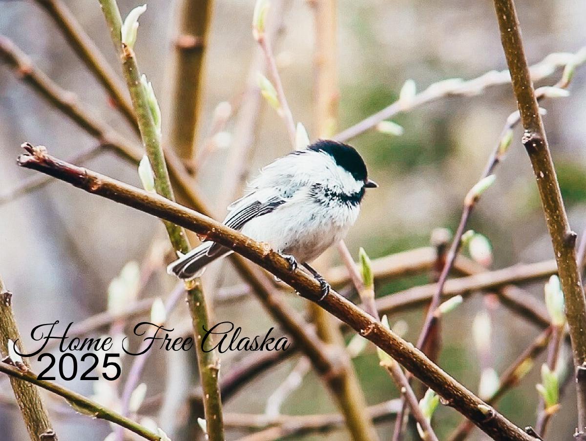 2025 Alaskan Calendar