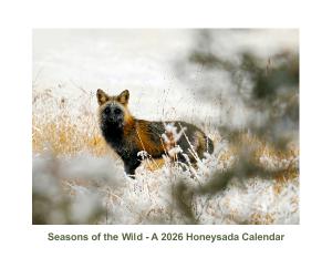 Seasons of the Wild - A 2026 Honeysada Calendar