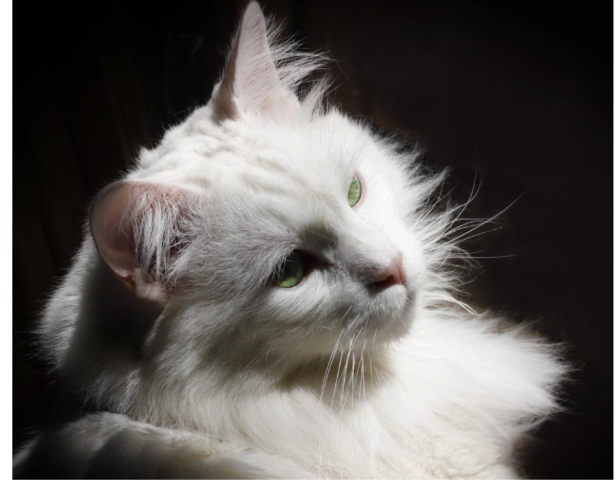 Keep a Part of Me With You Photo Book