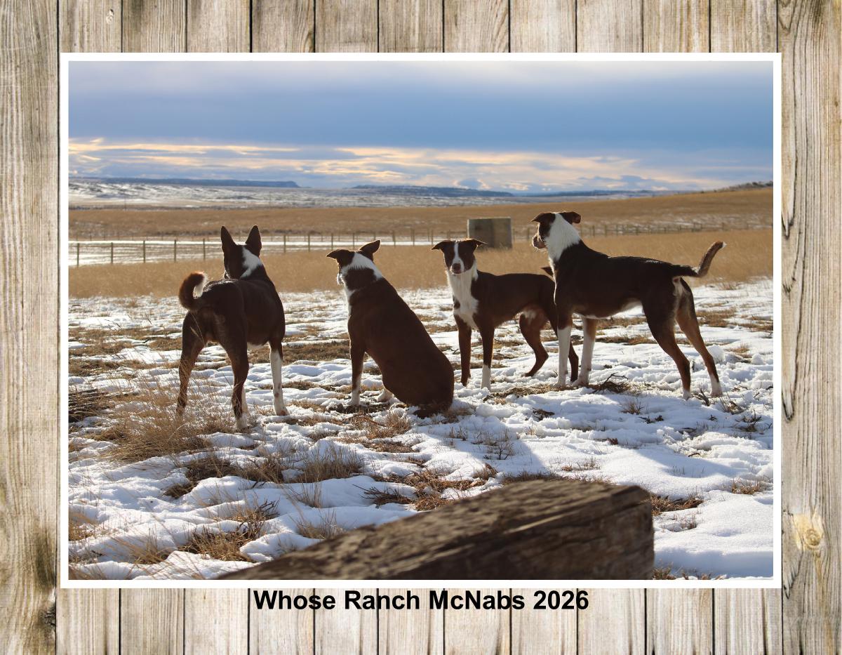 Whose Ranch McNabs 2026