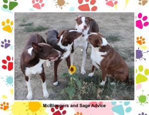 McBloopers Calendar 2026