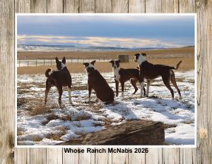 Whose Ranch McNabs 2026