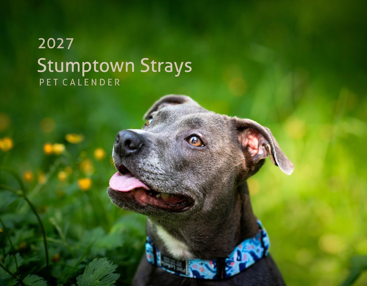 2027 Stumptown Strays Pet Calendar