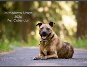 2026 Stumptown Strays Pet Calendar