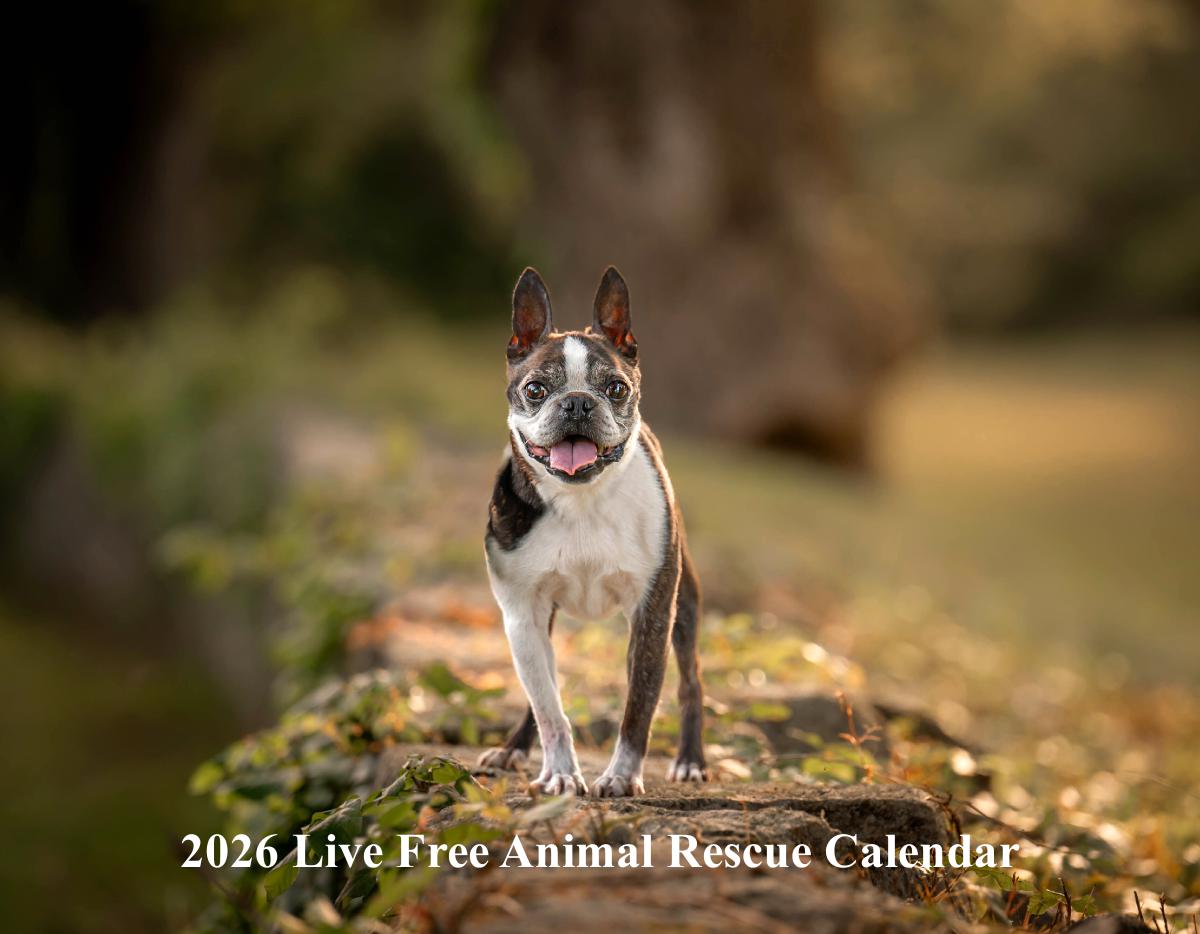 LFAR 2026 Pet Calendar
