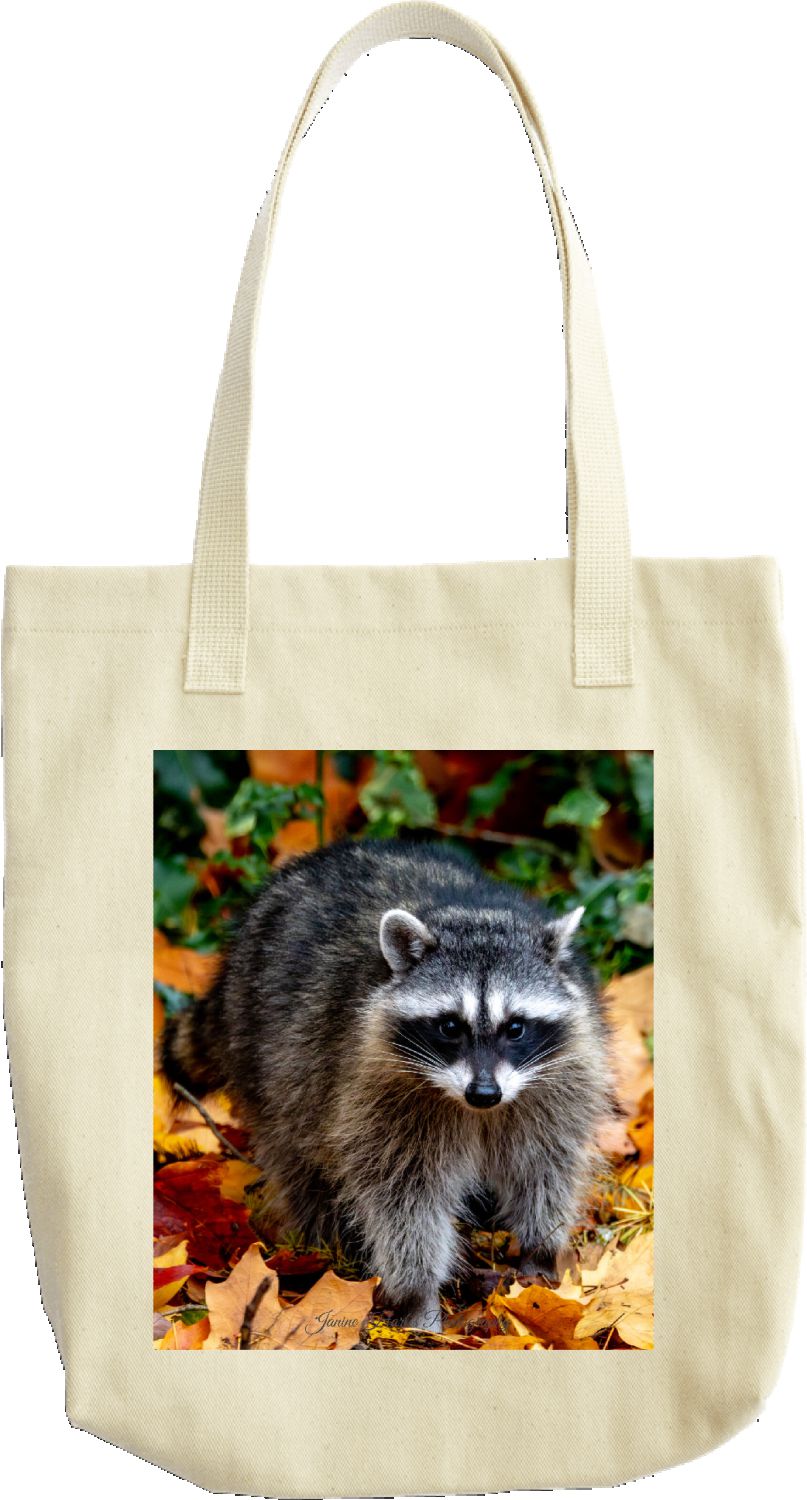 Mischief Tote