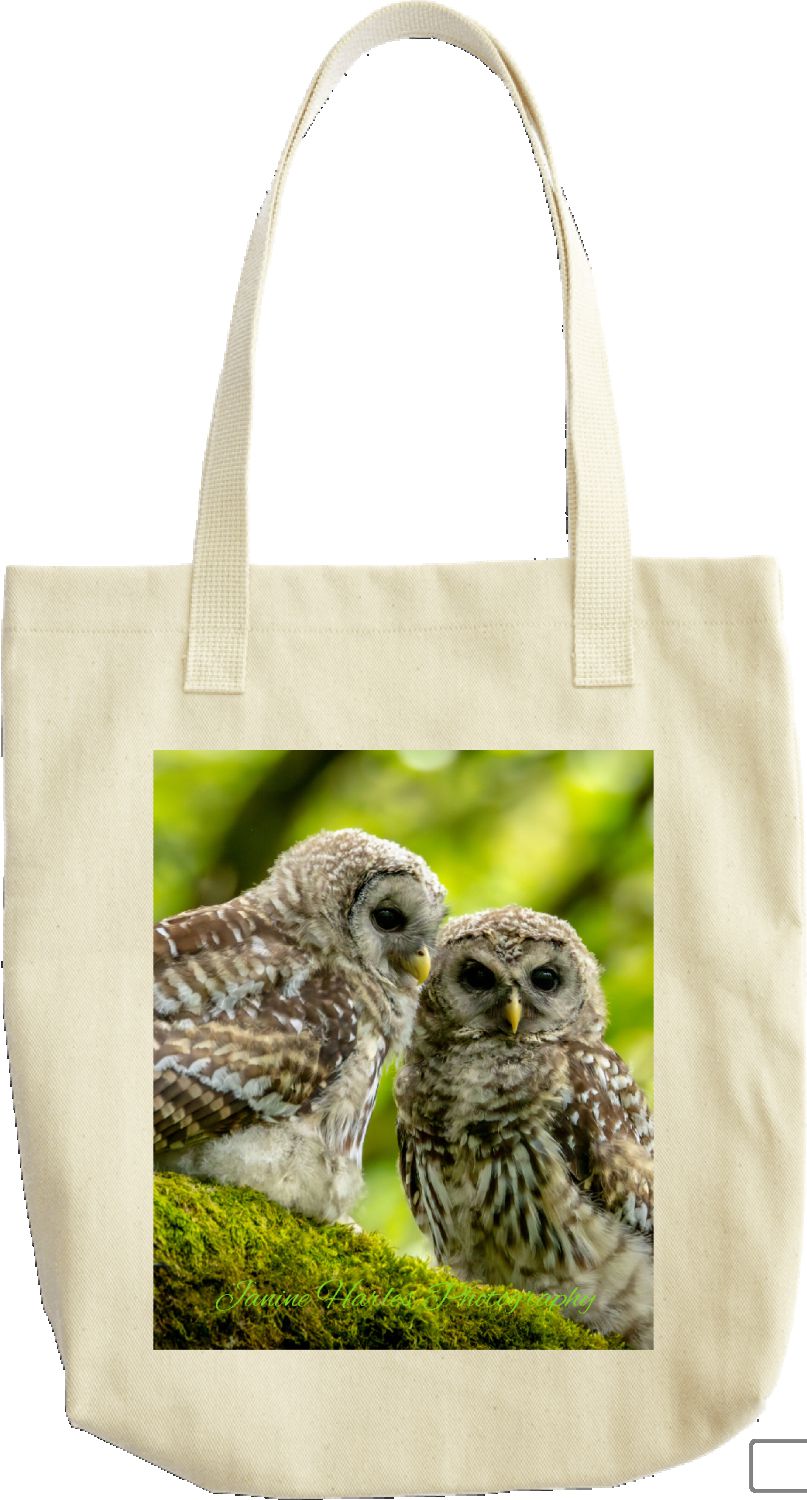 Barred Owl Baby Bag