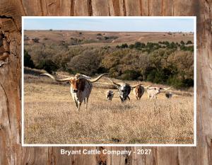 Texas Longhorn Calendar