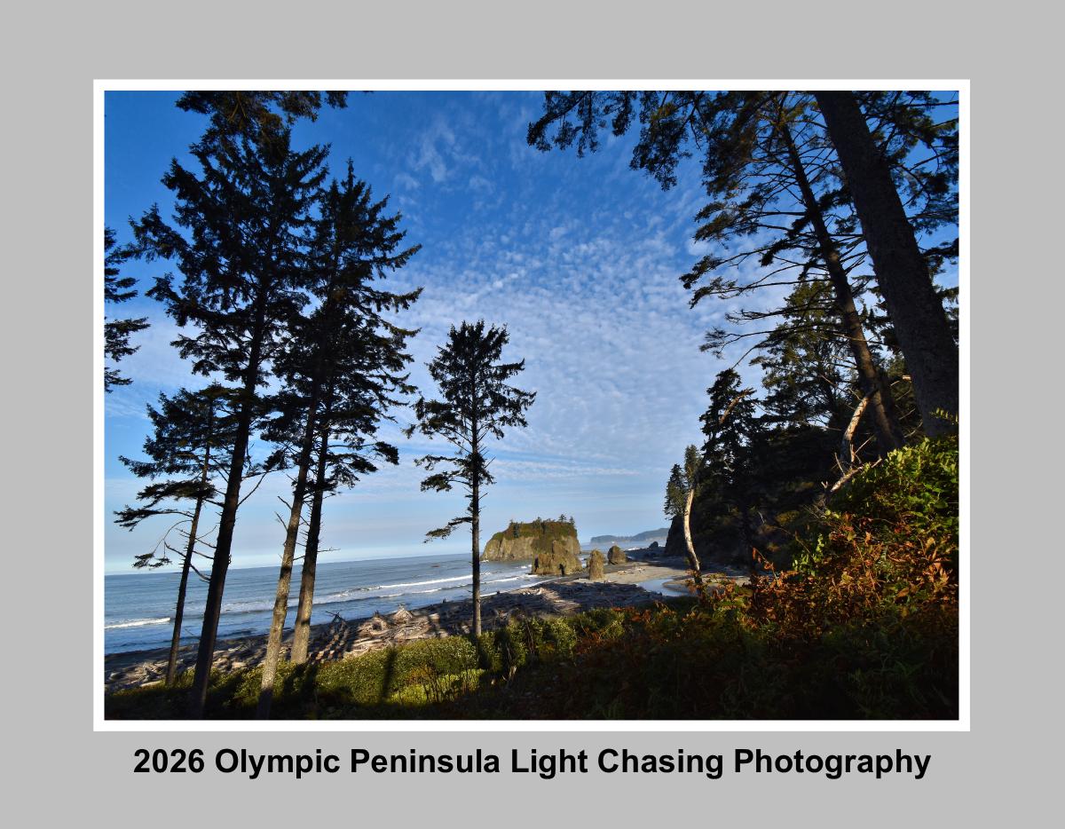 2026 Olympic Peninsula Wall Calendar