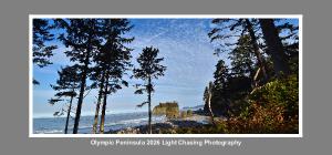 2026 Olympic Peninsula Desk Calendar