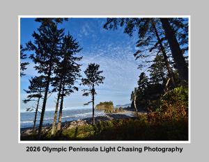 2026 Olympic Peninsula Wall Calendar
