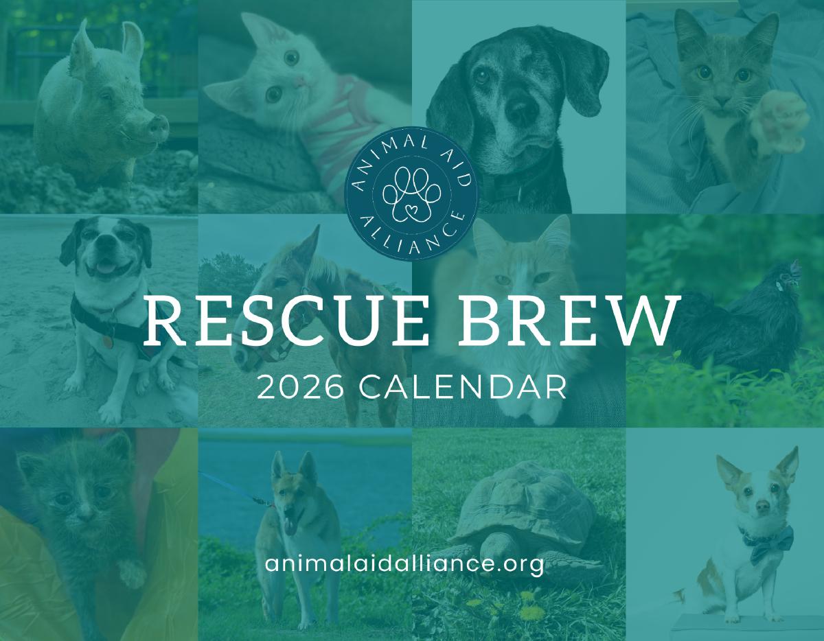 2026 Rescue Brew Calendar