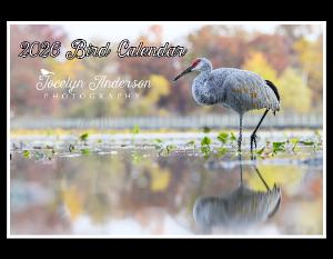 Jocelyn Anderson Photography - Birds 2026
