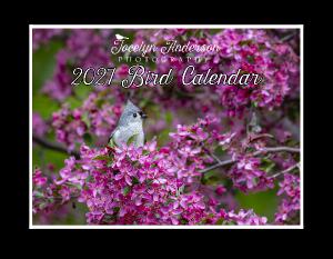 Jocelyn Anderson Photography - Birds 2027