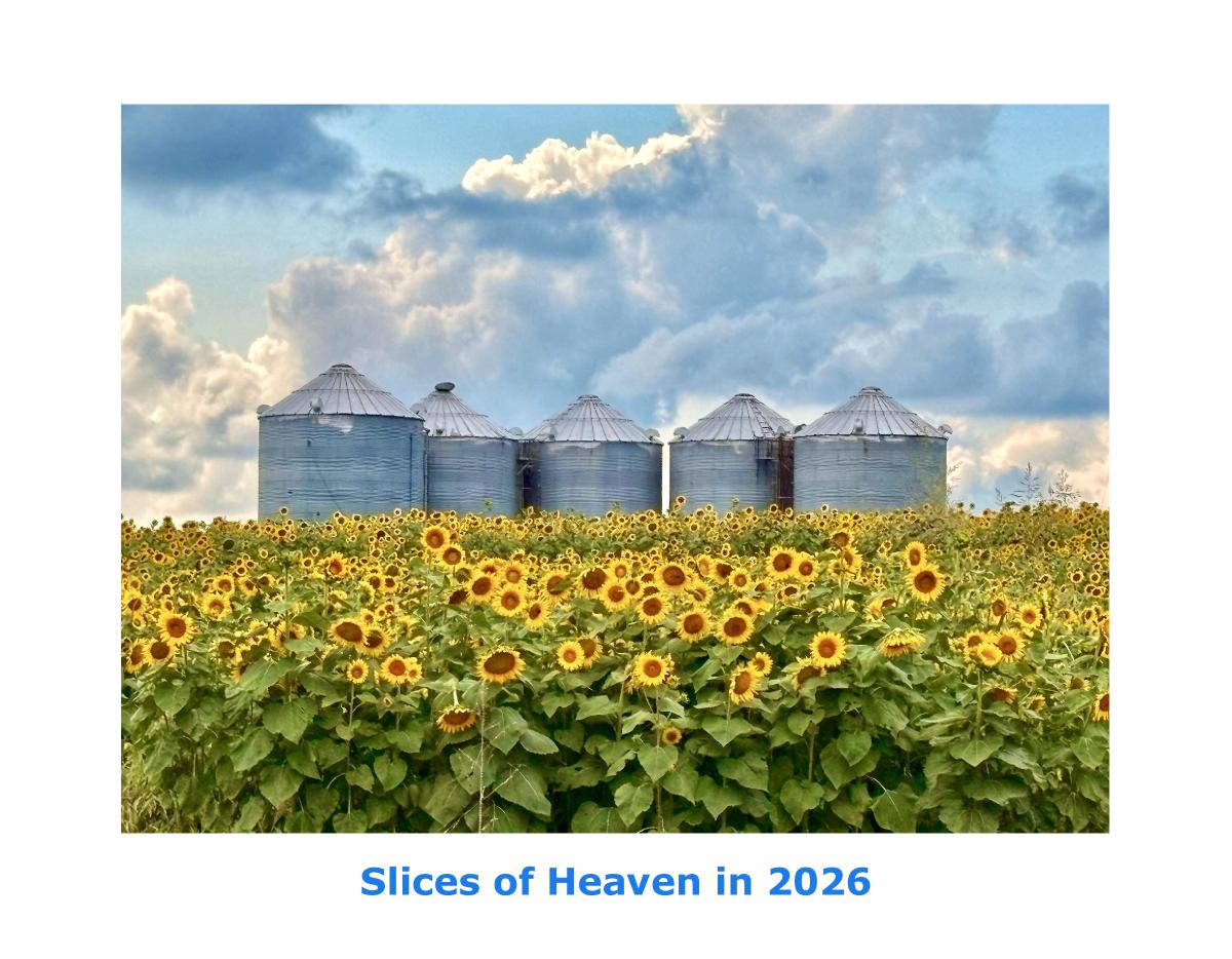 Slices of Heaven in 2026