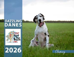 2026 Dazzling Danes
