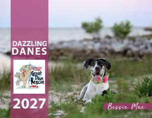 2027 Dazzling Danes