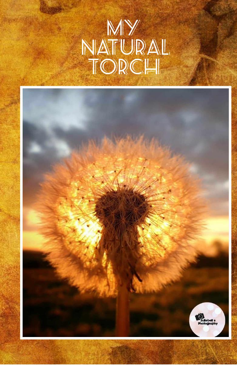 My Natural Torch Photo Notebook