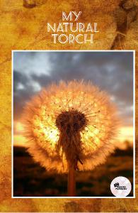 My Natural Torch Photo Notebook