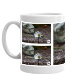 Small white daisy Coffee Mug